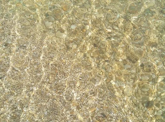 Bonaventura And Bonaventura Food Tollo