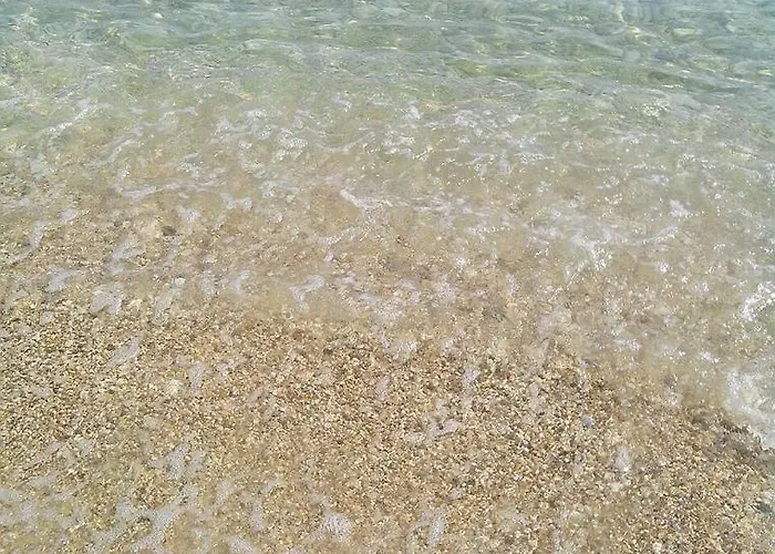 Bonaventura And Bonaventura Food