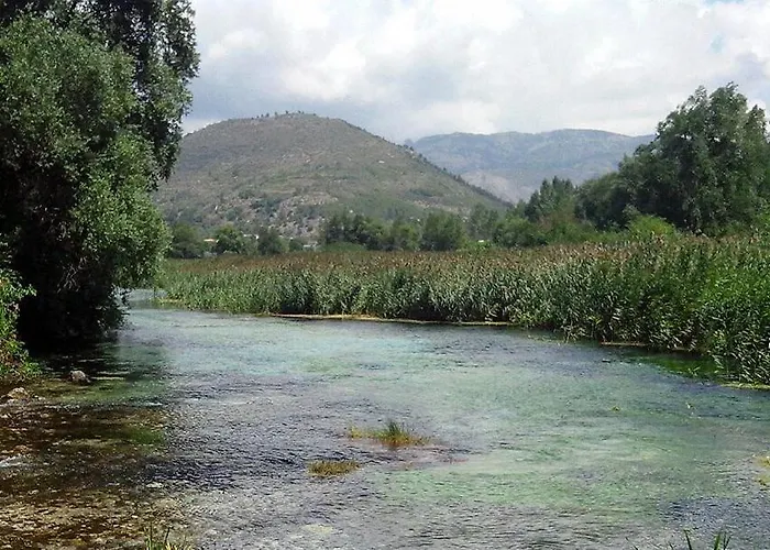 Bonaventura And Bonaventura Food Отель типа 