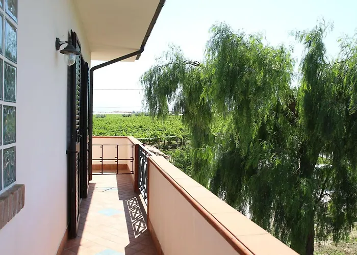 Bonaventura And Bonaventura Food Tollo